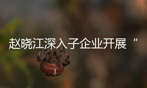 江深及绩企业企一题调入子策一研发展规划赵晓战略核专开展效考